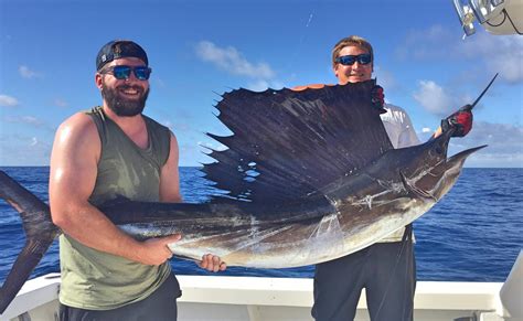 deep sea fishing in daytona beach|daytona offshore fishing report.